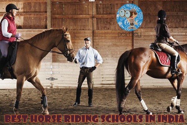 Horseback Riding Schools in India